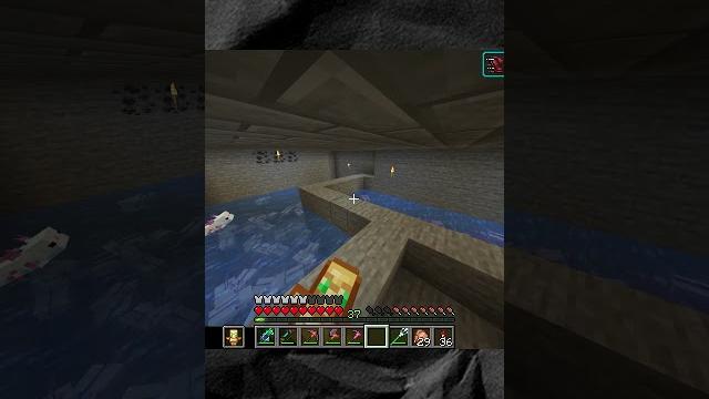 Самый редкий аксолотль в майнкрафте | minecraft | майнкрафт | daisev 2 | приватный сервер Самый редкий аксолотль в майнкрафте | minecraft | майнкрафт | daisev 2 | приватный сервер