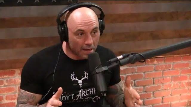 Joe rogan - martial arts vs. martial skills Joe rogan - martial arts vs. martial skills