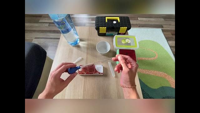 Установка автопоилки для муравьиного инкубатора.installation of a drinking bowl for an ant incubator Установка автопоилки для муравьиного инкубатора.installation of a drinking bowl for an ant incubator