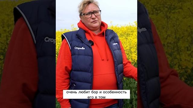 2 новинки, си харнас и си флориан, в чем же их преимущества и отличия? #агробизнес #рапс #агрономия 2 новинки, си харнас и си флориан, в чем же их преимущества и отличия? #агробизнес #рапс #агрономия