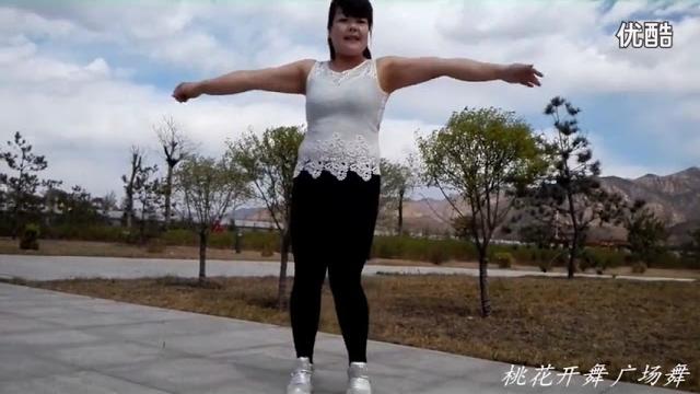 桃花开舞广场舞 更多各种视频|各种需求的视频qq:64642324 桃花开舞广场舞 更多各种视频|各种需求的视频qq:64642324
