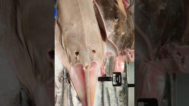 ️lulu mall️lucknow fish market ️lulu mall️lucknow fish market