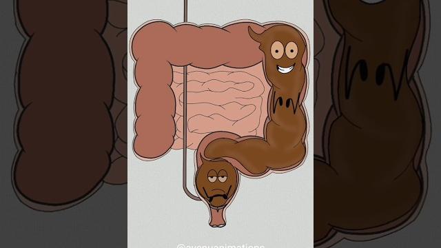 How poop system works! (best animation memes) #shorts How poop system works! (best animation memes) #shorts