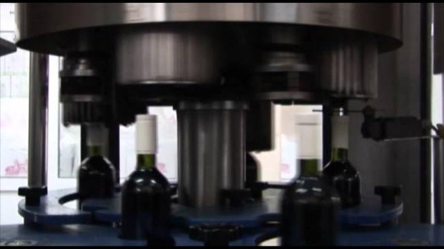Reclama, lion - gri wine making company Reclama, lion - gri wine making company