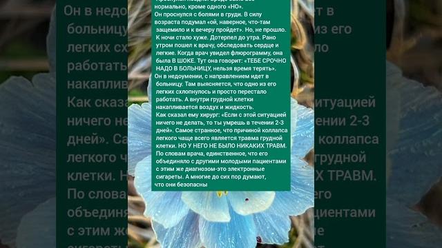 Истории из жизни Истории из жизни