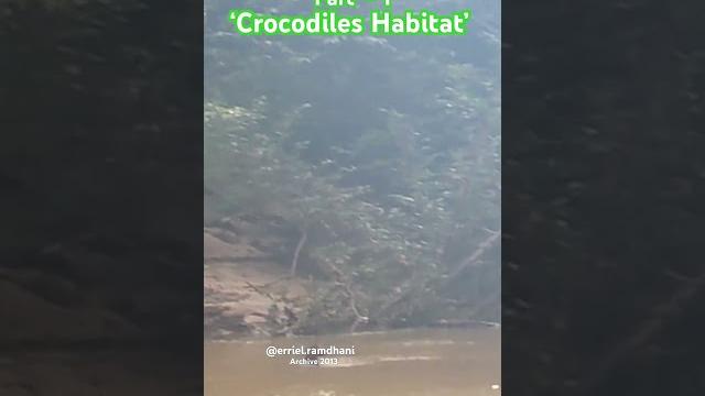 ‘along bengalon river’’#nature#borneo#explore#geology#map#indonesia#river#wildlife#education#travel ‘along bengalon river’’#nature#borneo#explore#geology#map#indonesia#river#wildlife#education#travel