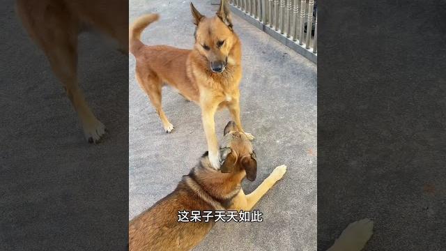 两个极品都被我养到了怎么不算是一种幸运呢(上) 两个极品都被我养到了怎么不算是一种幸运呢(上)