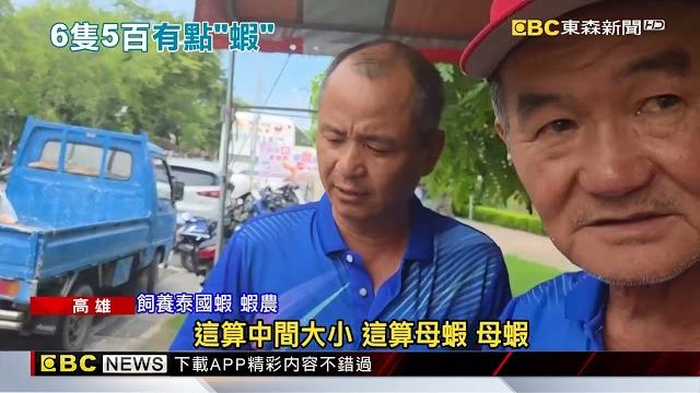 夜市烤蝦大份500元多少隻?客怨老闆說不清數量@newsebc 夜市烤蝦大份500元多少隻?客怨老闆說不清數量@newsebc