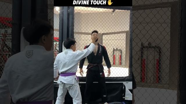 The divine touch ️ #mma #martialarts #ufc #bjj #jiujitsu #sambo #judo #funnyshorts #markmugen The divine touch ️ #mma #martialarts #ufc #bjj #jiujitsu #sambo #judo #funnyshorts #markmugen
