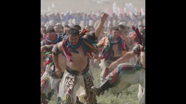 Over 500 bokh wrestlers charged head-on at the naadam festival in inner mongolia autonomous region. Over 500 bokh wrestlers charged head-on at the naadam festival in inner mongolia autonomous region.