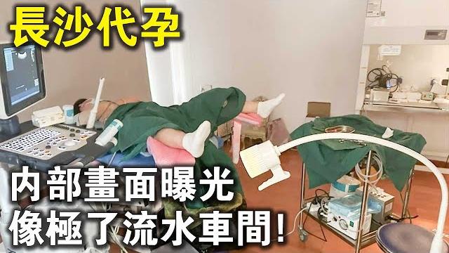 長沙地下代孕內部畫面曝光!像極了黑心工廠的流水車間? 長沙地下代孕內部畫面曝光!像極了黑心工廠的流水車間?