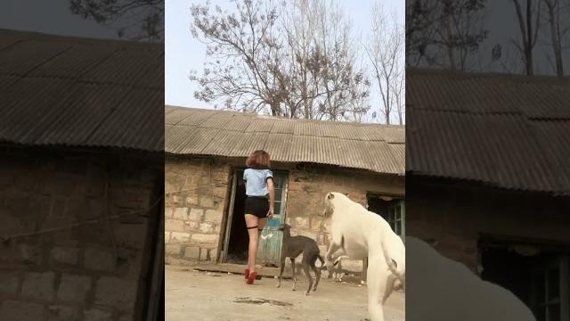 小娜娜:... 小娜娜:...