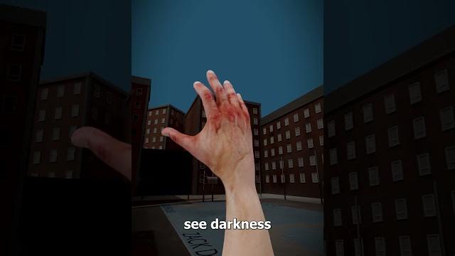 What would you see with no eyes? What would you see with no eyes?