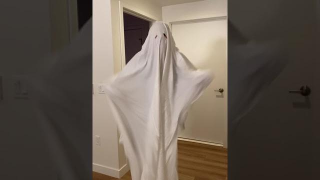 When your house is haunted but you have nowhere else to live When your house is haunted but you have nowhere else to live