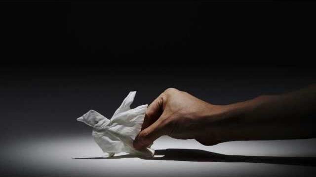 Tissue animals (nepia) Tissue animals (nepia)