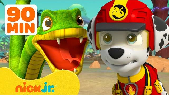 Paw patrol jungle pups find a hidden jungle! w/ marshall & rubble | 90 minutes | nick jr. Paw patrol jungle pups find a hidden jungle! w/ marshall & rubble | 90 minutes | nick jr.