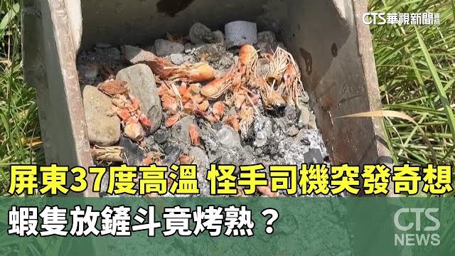 屏東37度高溫!怪手司機突發奇想 蝦隻放鏟斗竟烤熟?|華視新聞 20250522 @ctstw 屏東37度高溫!怪手司機突發奇想 蝦隻放鏟斗竟烤熟?|華視新聞 20250522 @ctstw