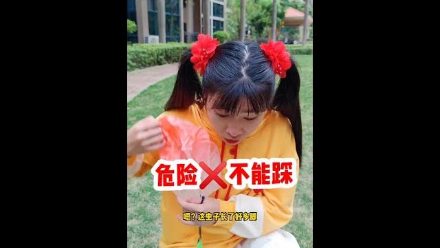 如果在户外遇到这种千足虫,千万不能踩!#儿童安全 #亲子教育 #知识分享 如果在户外遇到这种千足虫,千万不能踩!#儿童安全 #亲子教育 #知识分享