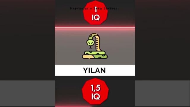 #eğlence #youtubeshorts #shorts #eğlence #youtubeshorts #shorts