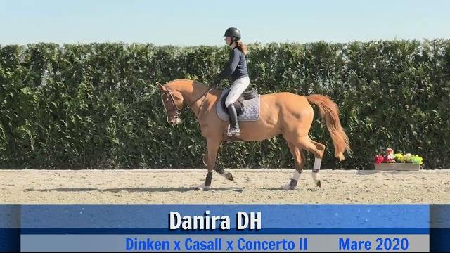 Danira dh (gaits) Danira dh (gaits)