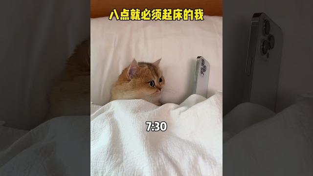 【牛奶是只猫】空调分猫咪一半 【牛奶是只猫】空调分猫咪一半
