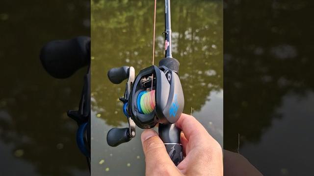 Shimano slx dc casting tiny lure (bfs??) #shorts #fishing Shimano slx dc casting tiny lure (bfs??) #shorts #fishing