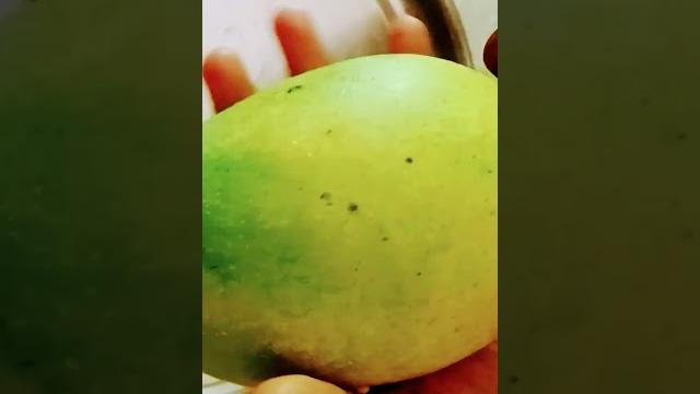 Lovely # mango ###video viral Lovely # mango ###video viral