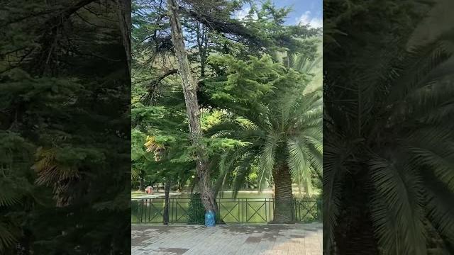 Пляж старая гагра, доехали на вольво xc90 Пляж старая гагра, доехали на вольво xc90
