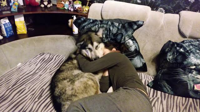 Самое милое видео с собакой / most cute dogs video Самое милое видео с собакой / most cute dogs video