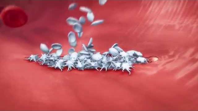 Platelet activation and factors for clot formation Platelet activation and factors for clot formation