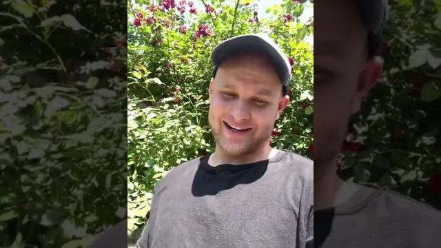 Находка (смешное видео, юмор, приколы, поржать) Находка (смешное видео, юмор, приколы, поржать)