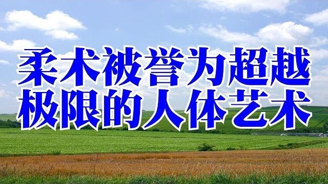 柔术被誉为超越极限的人体艺术 柔术被誉为超越极限的人体艺术