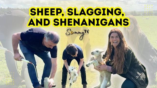 Sheep, slagging and shenanigans Sheep, slagging and shenanigans
