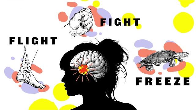 Fight flight freeze – anxiety explained for teens Fight flight freeze – anxiety explained for teens