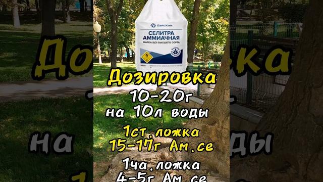 Аммиачная селитра за одну минуту. дозировка и применение. самая идеальная азотная удобрения для меня Аммиачная селитра за одну минуту. дозировка и применение. самая идеальная азотная удобрения для меня