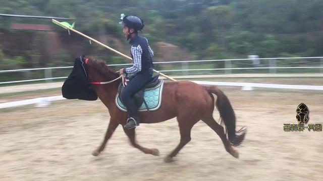 骑兵冲锋蒙马眼是真的吗? 骑兵冲锋蒙马眼是真的吗?