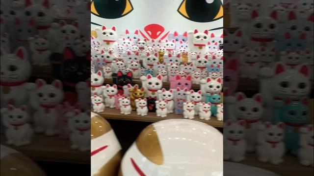 Lots of maneki neko #manekineko #luckycat Lots of maneki neko #manekineko #luckycat