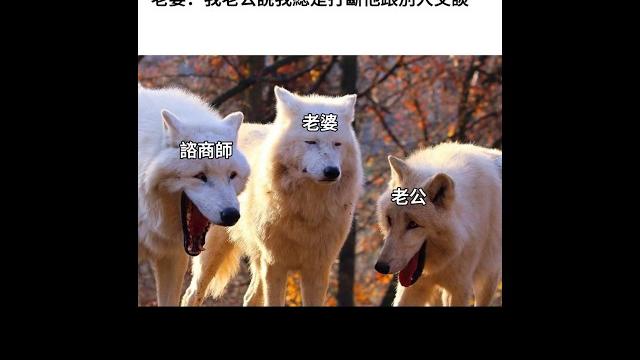 愛插嘴 愛插嘴