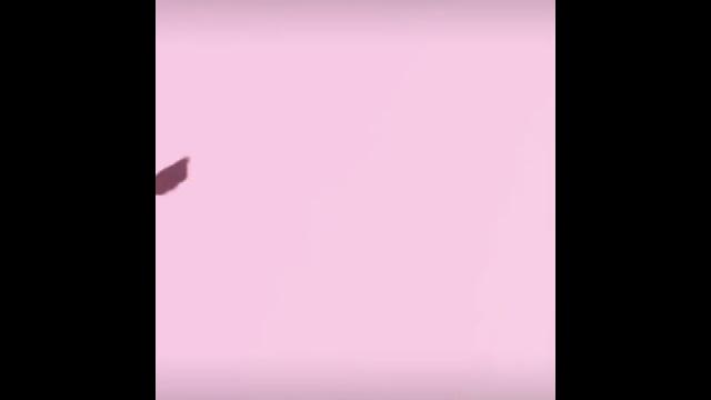 ٣١ مارس، ٢٠٢١ ٣١ مارس، ٢٠٢١