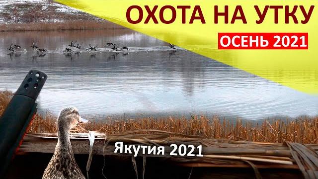 Осенний сезон охоты на уток в якутии 2021 Осенний сезон охоты на уток в якутии 2021