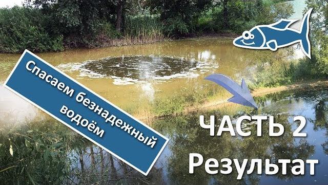 Как очистить пруд. результат за 3 недели. часть 2 Как очистить пруд. результат за 3 недели. часть 2