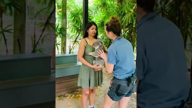 Holding a koala #koala #cute #cuteness #australia Holding a koala #koala #cute #cuteness #australia