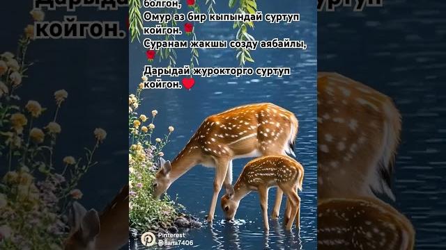 #илим #дуба #салават #максат #истигфар #таалим #илим #дуба #салават #максат #истигфар #таалим