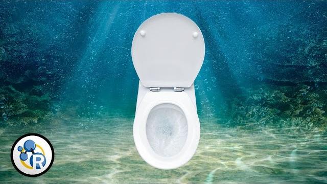 Is it ok to pee in the ocean? Is it ok to pee in the ocean?
