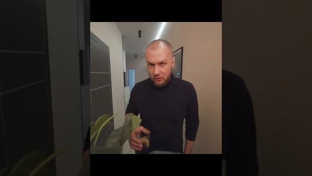 Ты что возобновил)шгш #эдит#школаглазамишкольника #школа #глазами #школьник #руслангладенко Ты что возобновил)шгш #эдит#школаглазамишкольника #школа #глазами #школьник #руслангладенко