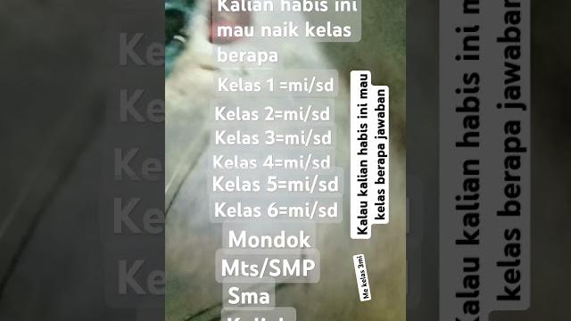 11 juni 2025 11 juni 2025