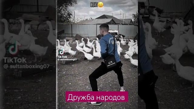 Дружба народов Дружба народов