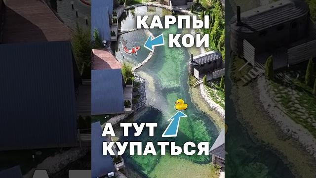 Создание пруда для купания и карпов кои. плавательный пруд с прозрачной водой для базы отдыха #пруд Создание пруда для купания и карпов кои. плавательный пруд с прозрачной водой для базы отдыха #пруд