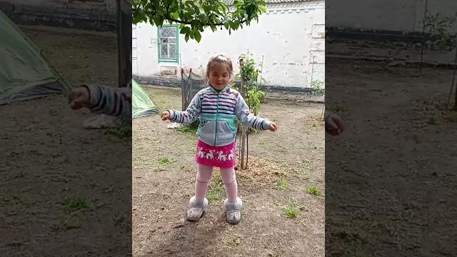 Танцы-шманцы Танцы-шманцы
