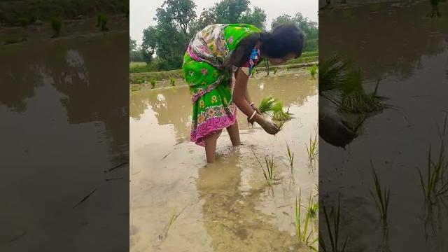 Ai matir bokeo prem ache | 4k full screen whatsapp status| i love you #shorts #reels #viralvideo Ai matir bokeo prem ache | 4k full screen whatsapp status| i love you #shorts #reels #viralvideo